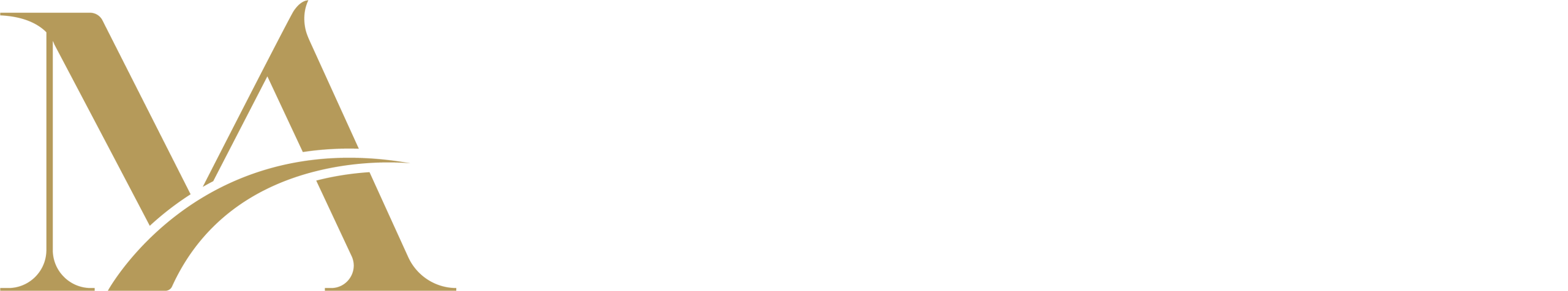 Mandamus Attorney